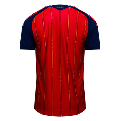 maillot Espagne